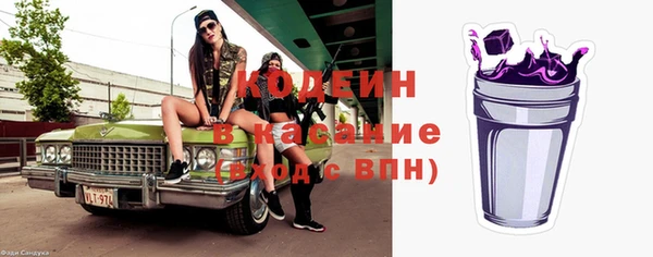 индика Нягань