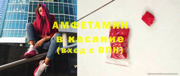 индика Нягань