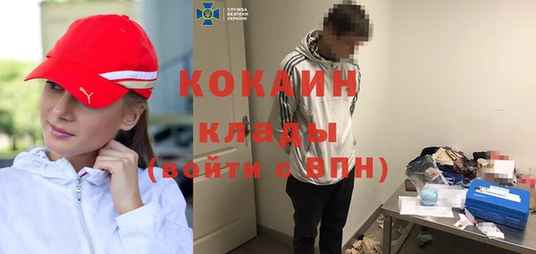 прущие грибы Ладушкин