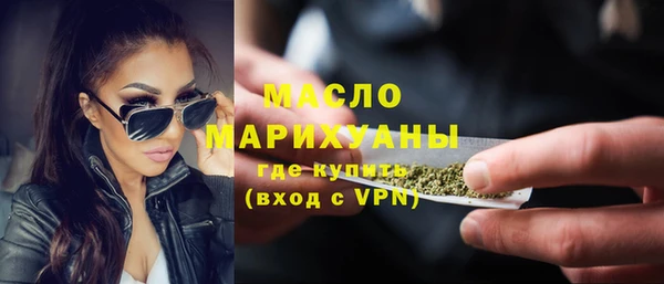 индика Нягань