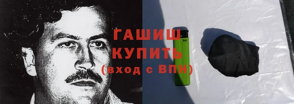 индика Нягань