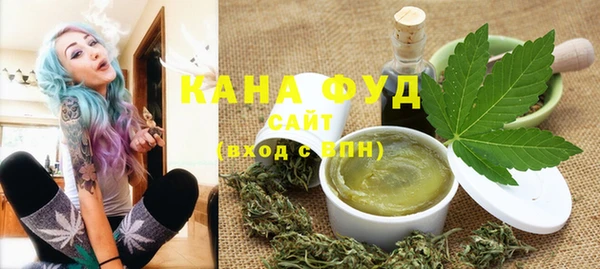 индика Нягань