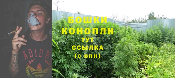 индика Нягань