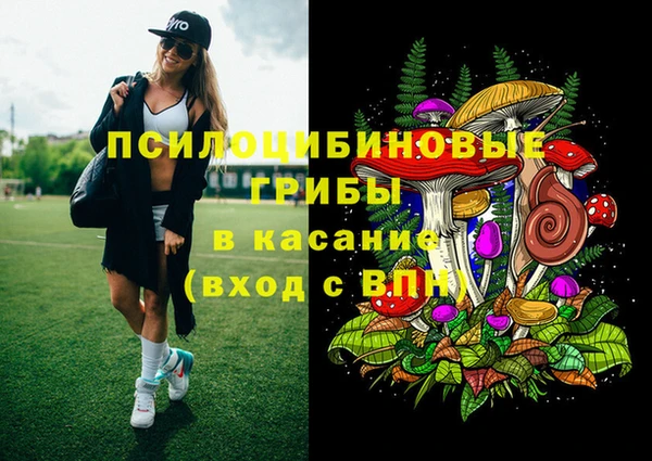 2c-b Няндома