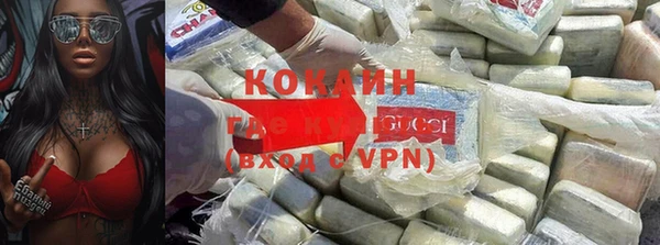 индика Нягань