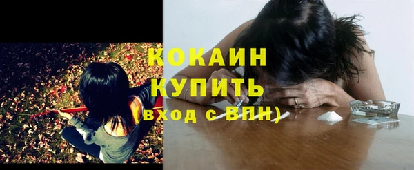 индика Нягань