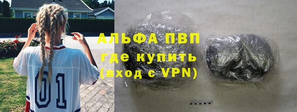 индика Нягань
