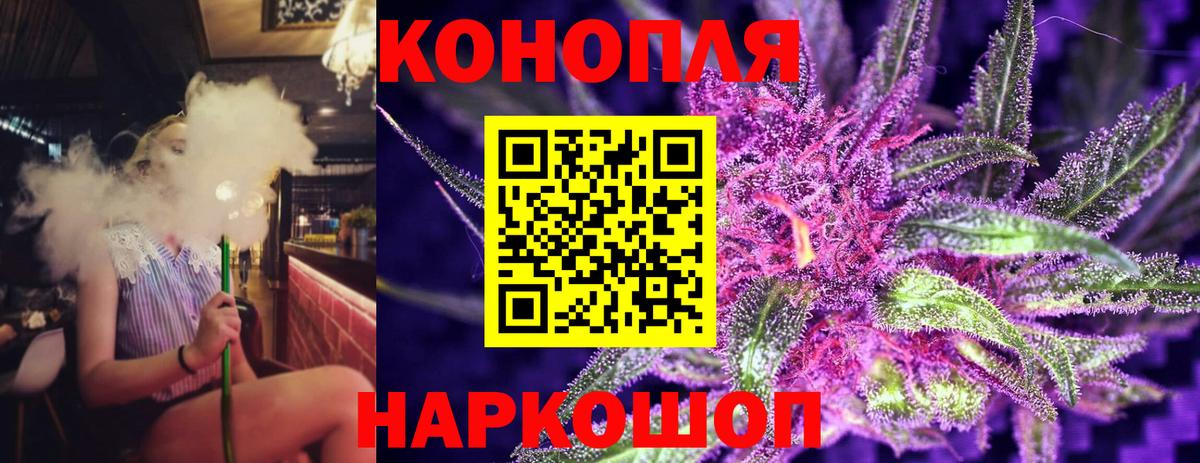 Бошки Шишки VHQ Краснодар